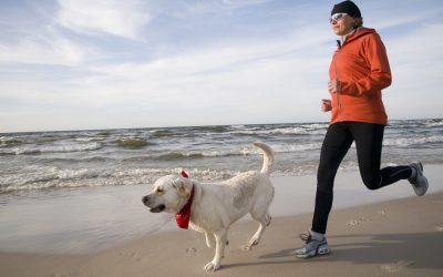 From Exercise To Socialization: How Does A New York Dog Walker Keep Dogs Thriving?