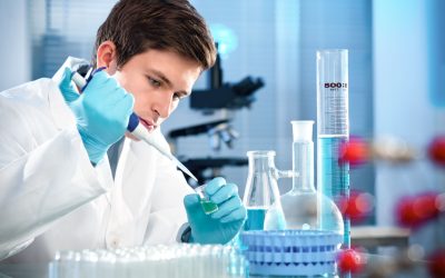 Pursuing a Bachelors in Biomedical Science – A Gateway to Innovation in Healthcare